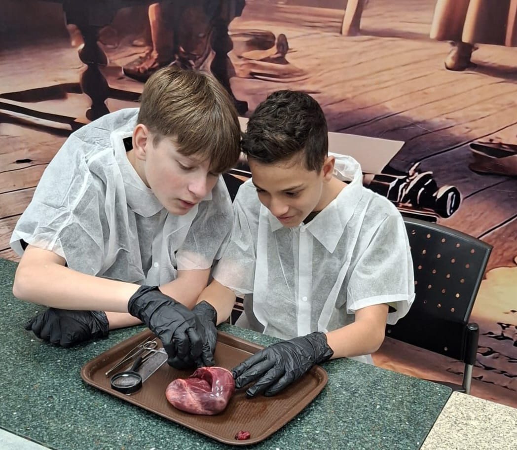 WhatsApp Image 2026-01-15 at 16.36.45